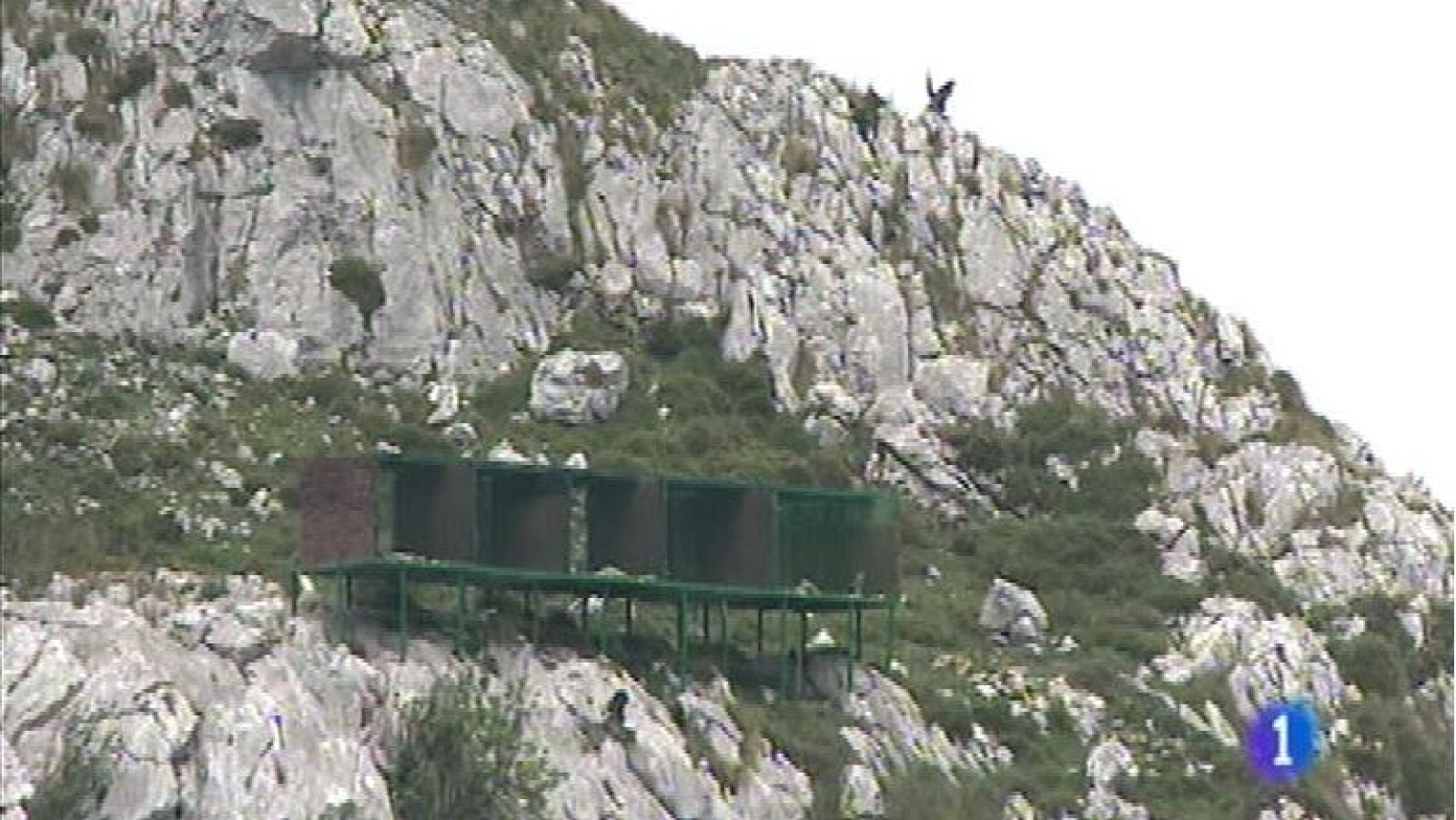 Panorama Regional 2 - 22/07/14 | Ver