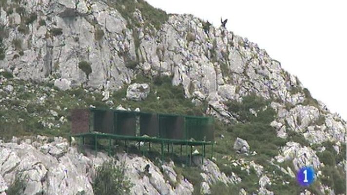 Panorama Regional - Panorama Regional 2 - 22/07/14