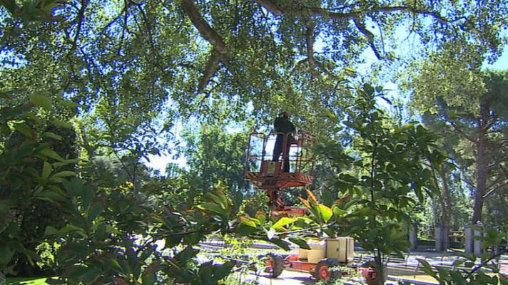 Informativo de Madrid - Informativo de Madrid 2 - 22/07/14