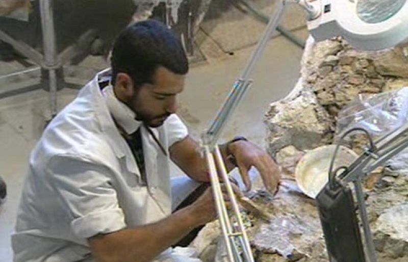 En Teruel recontruyen el mayor dinosaurio europeo - Ciencia y tecnología en Rtve.es | Ver