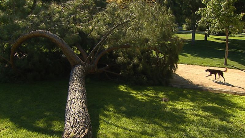 Informativo de Madrid 2 - 23/07/14