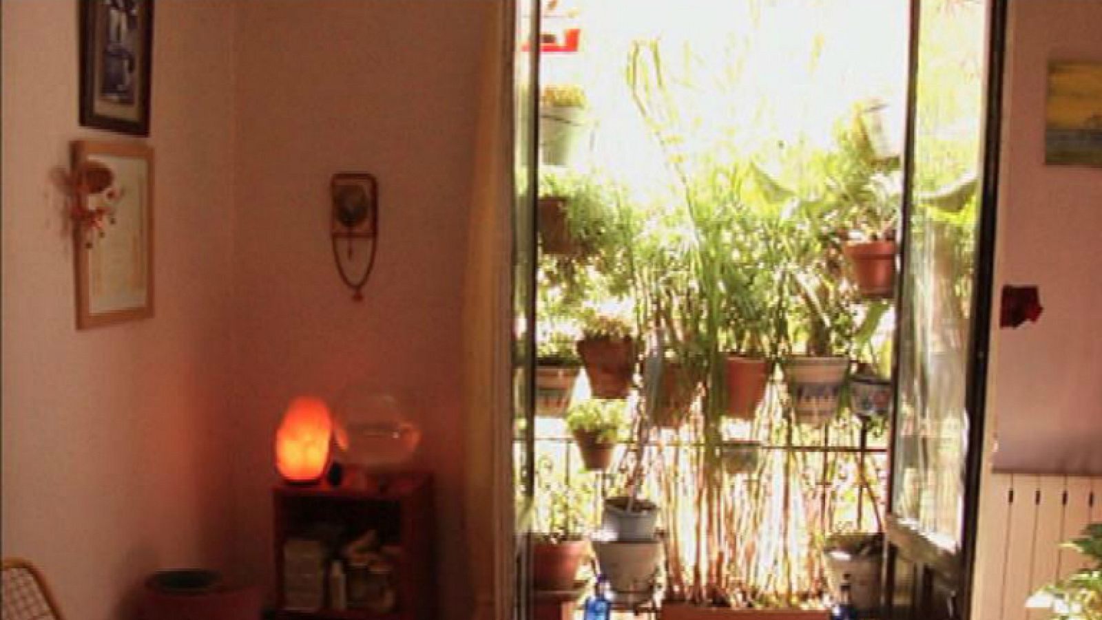 Balcones selváticos en plena ciudad