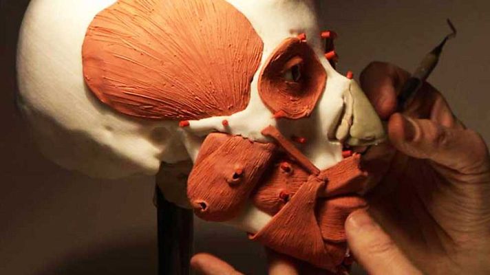 Documenta2 - La ciencia y los santos