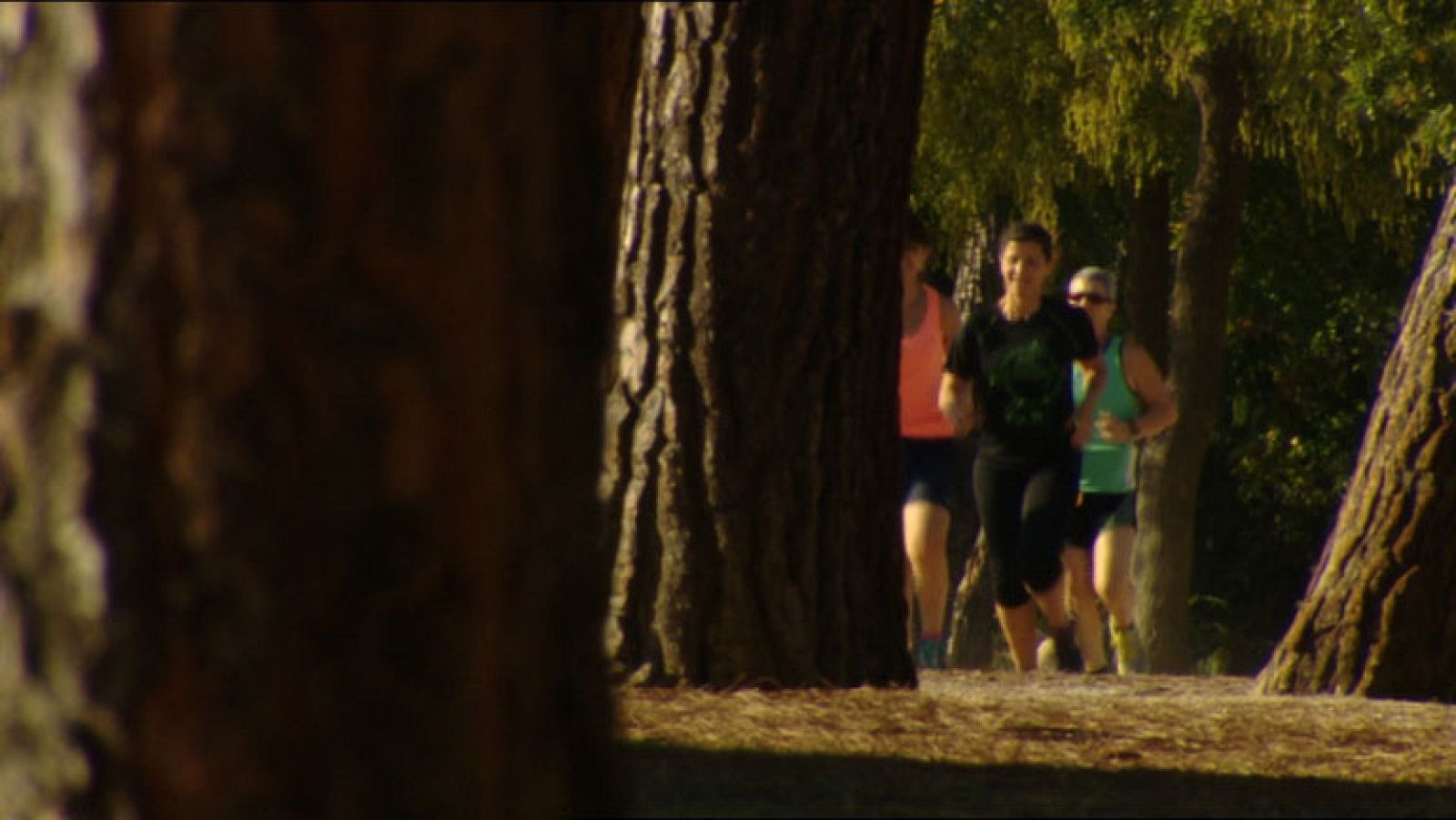 El Tiempo en la Comunidad de Madrid - 24/07/14