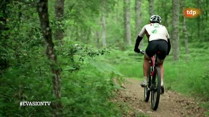 Evasión - T2 - Programa 12