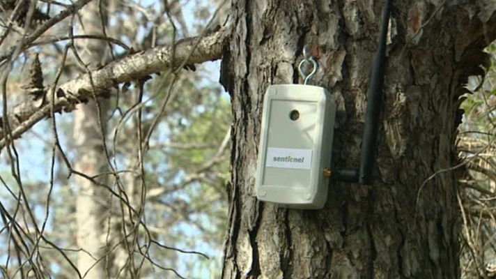 Telediario 1 - Un sensor inalámbrico permite la detección de incendios