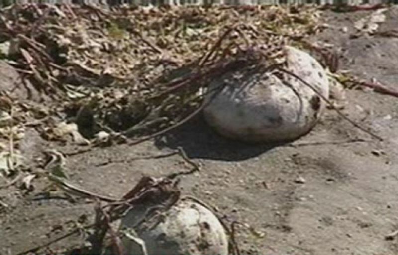 Fuerte granizada en Segovia | Ver