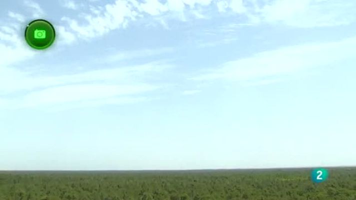 Agrosfera - Coca, Segovia