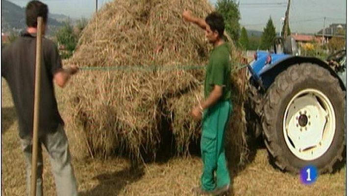 Panorama Regional - Panorama Regional 2 - 29/07/14