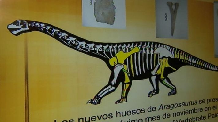 Telediario 1 - El Aragosaurus es más viejo de lo que se creía