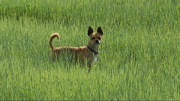 El tiempo - Suben las temperaturas en la Cordillera Ibérica y en el Alto Ebro