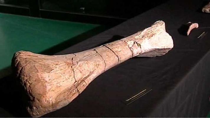 España en 24h - España en 24 horas - 30/07/14