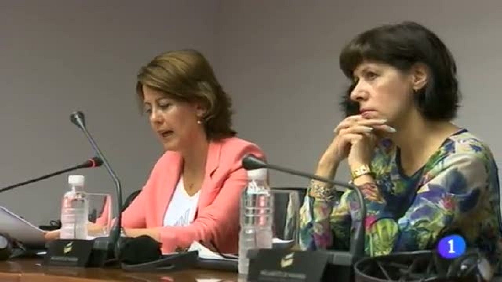 Telenavarra en 2' - 31/07/2014 | Ver