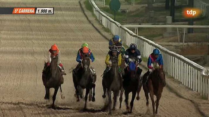 Turf - Turf - 31/07/14