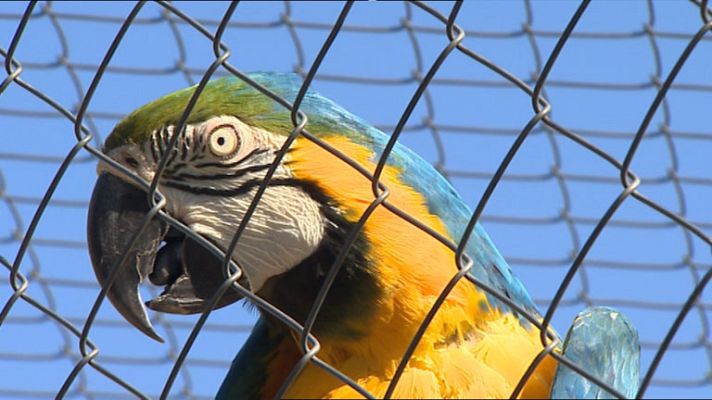 Informativo de Madrid - Informativo de Madrid 2 - 01/08/14