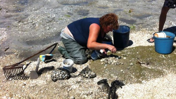 Aquí la Tierra - Plan perfecto para el finde: ser mariscadores por un día