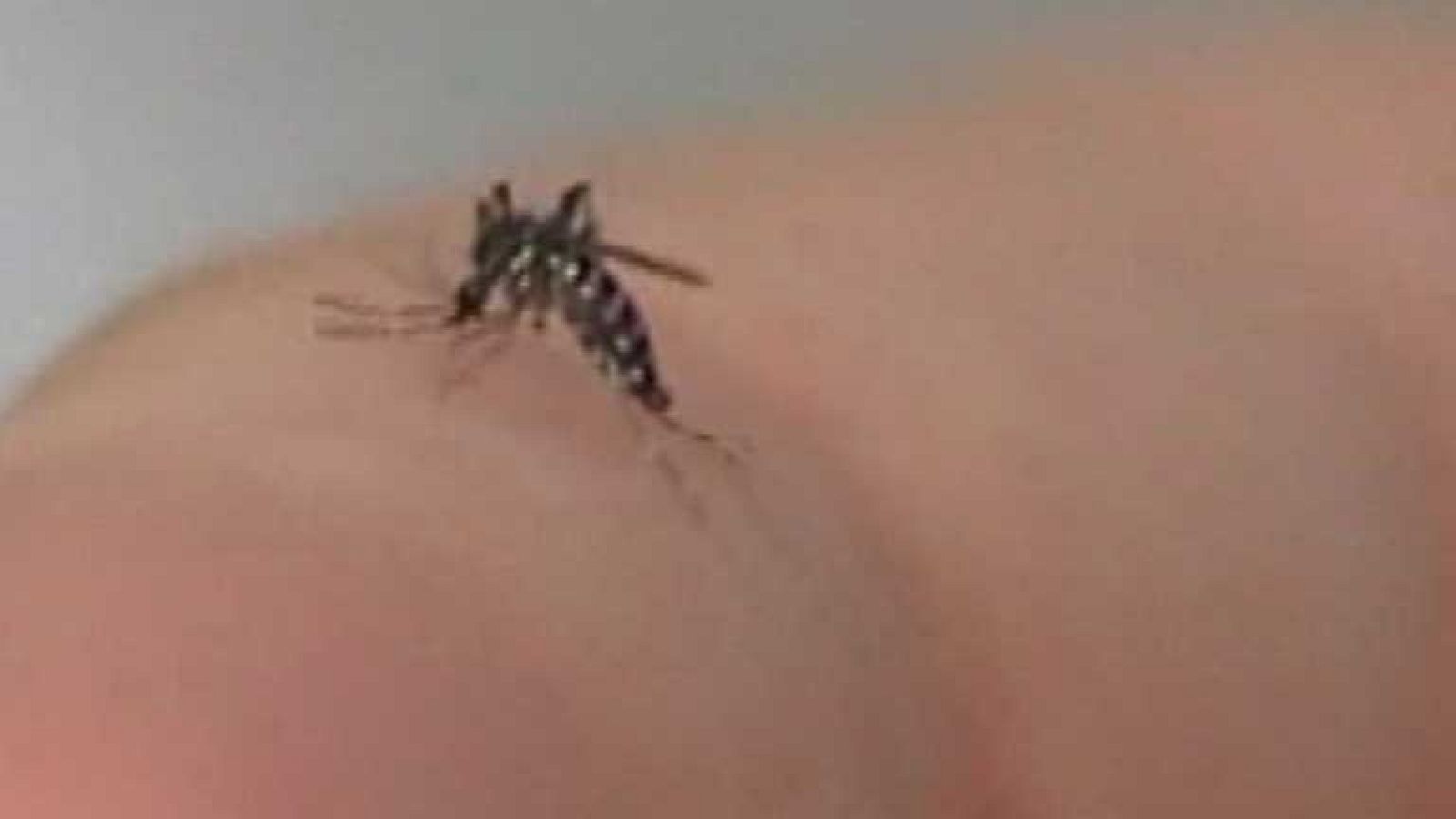 España en Comunidad - 02/08/14 - ver ahora