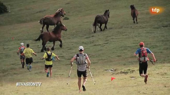 Evasión - T2 - Programa 13