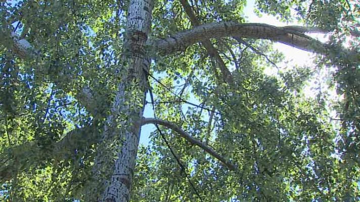 El tiempo - Posibilidad de chubascos localmente fuertes en el norte de Cataluña y Castellón