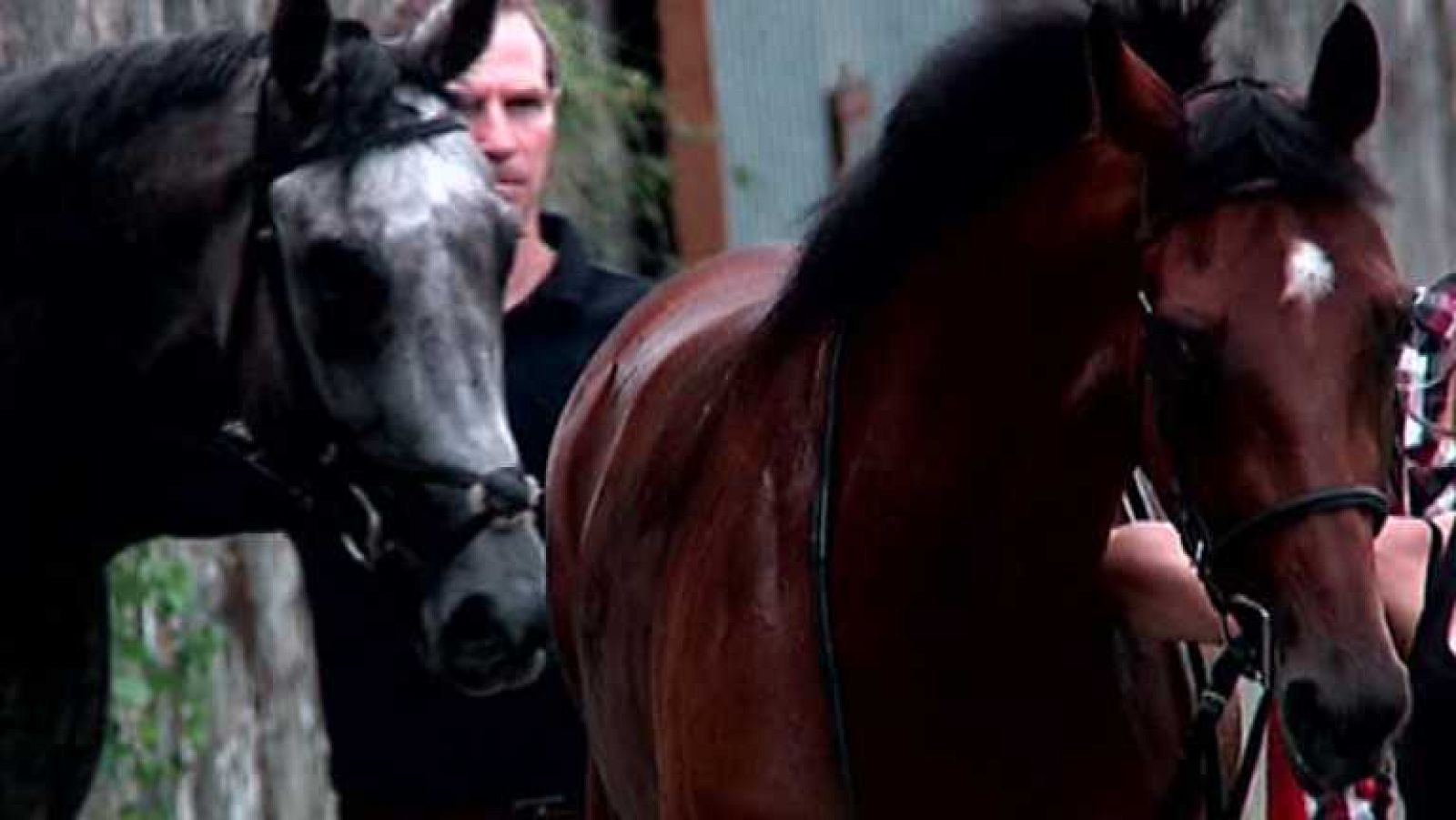 Turf - 04/08/14 - ver ahora