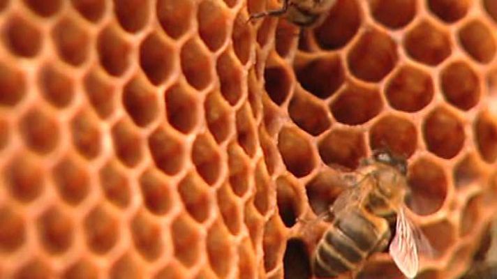 Aquí la Tierra - Aquí la Tierra - 04/08/14