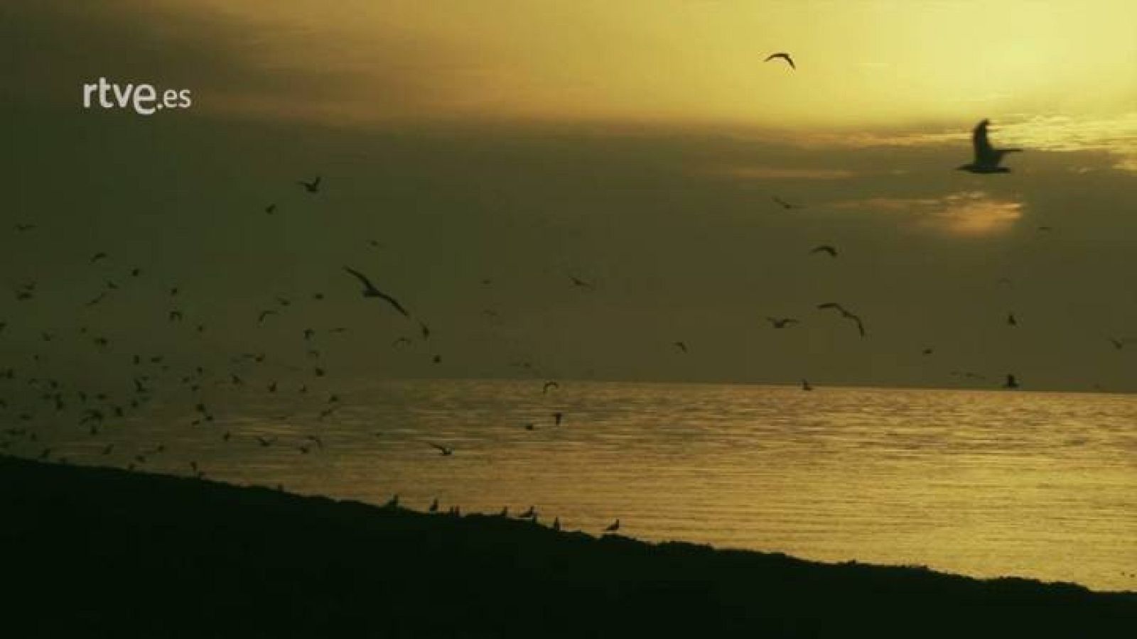 Capitán Q - La Isla de Alborán