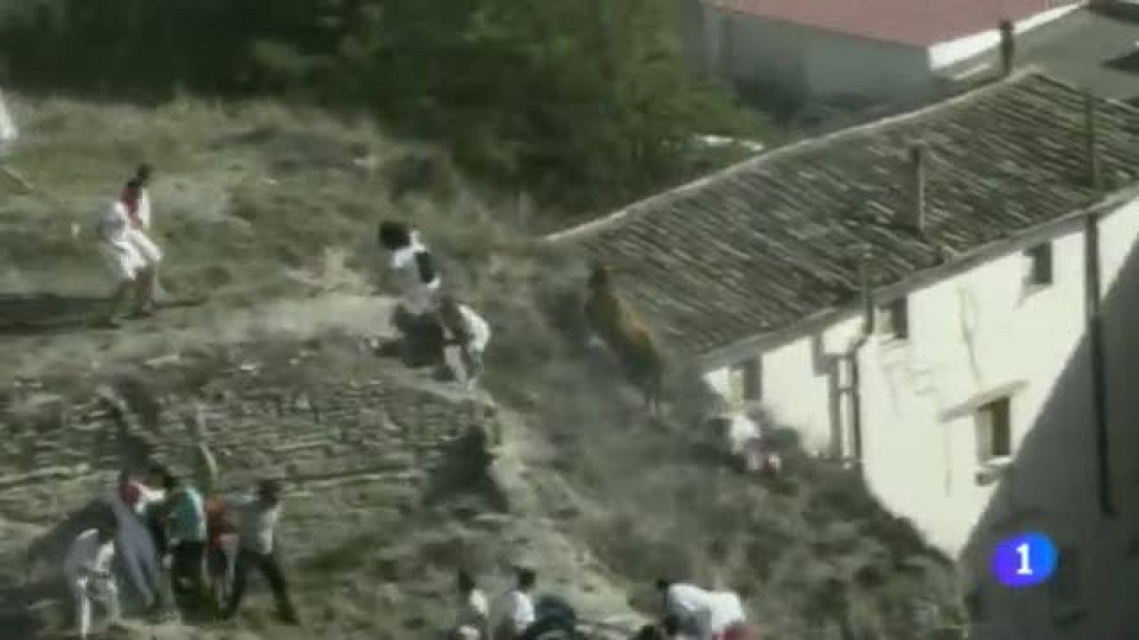 Telenavarra 2 - 05/08/2014 | Ver