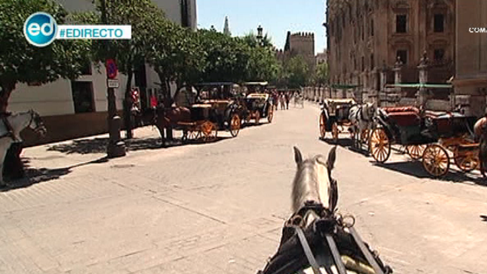 España Directo-  Sevilla, una de las ciudades preferidas por los turistas