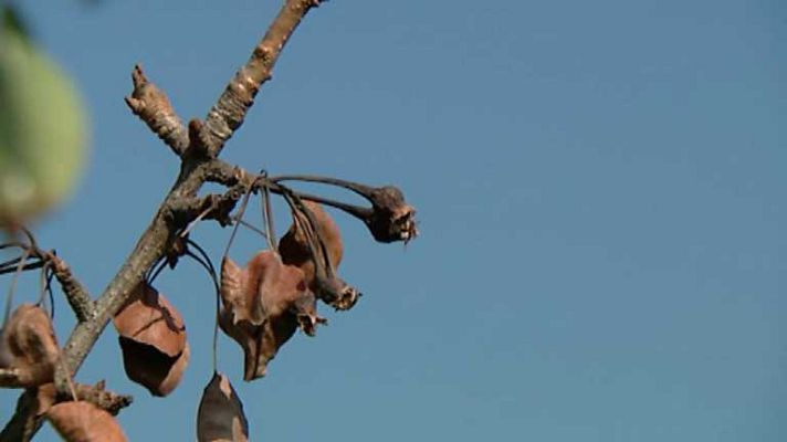 L'informatiu - Comunitat Valenciana - La Comunidad Valenciana en 2' - 06/08/14