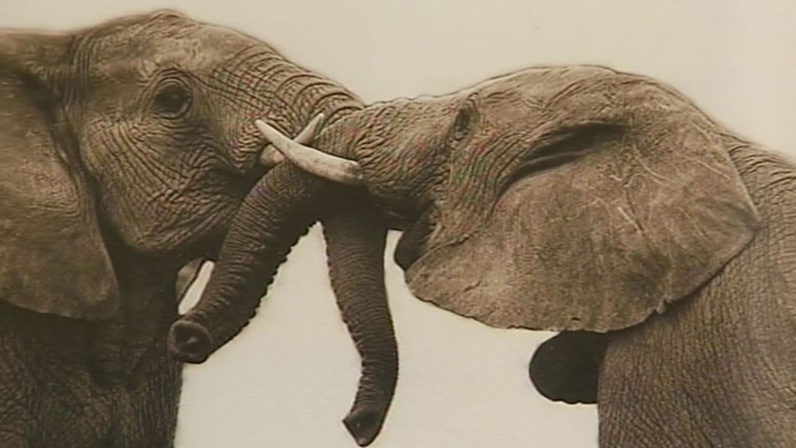 Nueva edición del Festival Internacional de Fotografía `Teruel Punto Photo¿