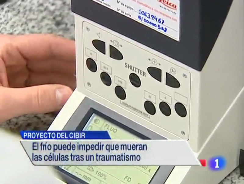 Informativo Telerioja 2 - 06/08/14 | Ver