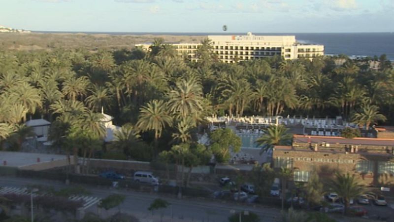 Telecanarias - 07/08/14 | Ver