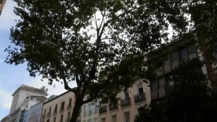 Informativo de Madrid - Informativo de Madrid 2 - 07/08/14