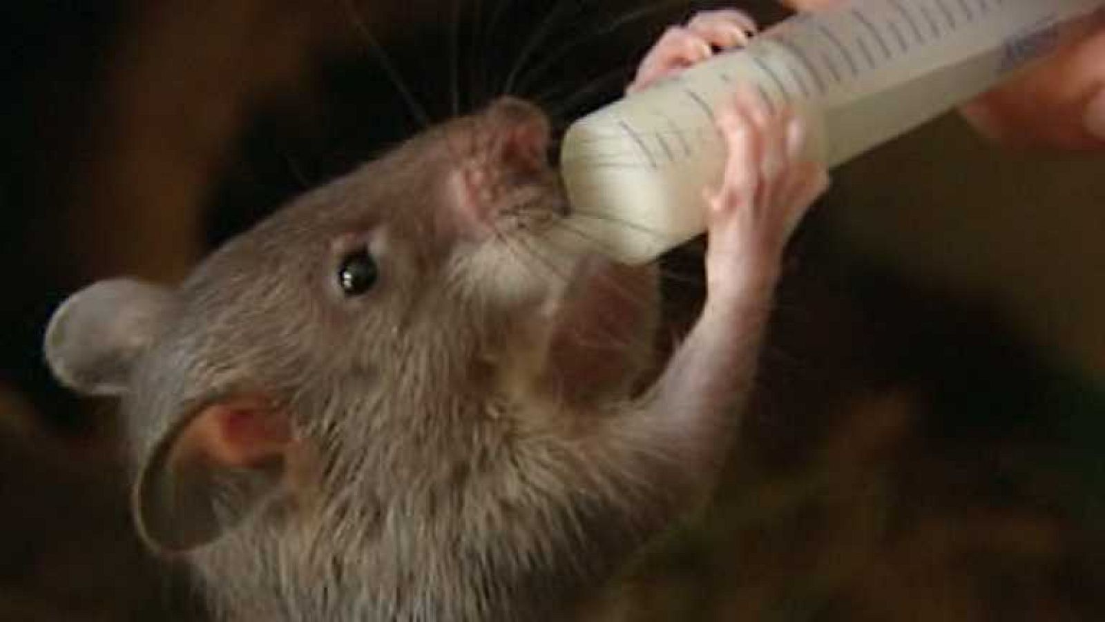 España en 24 horas - 07/08/14 - Ver ahora