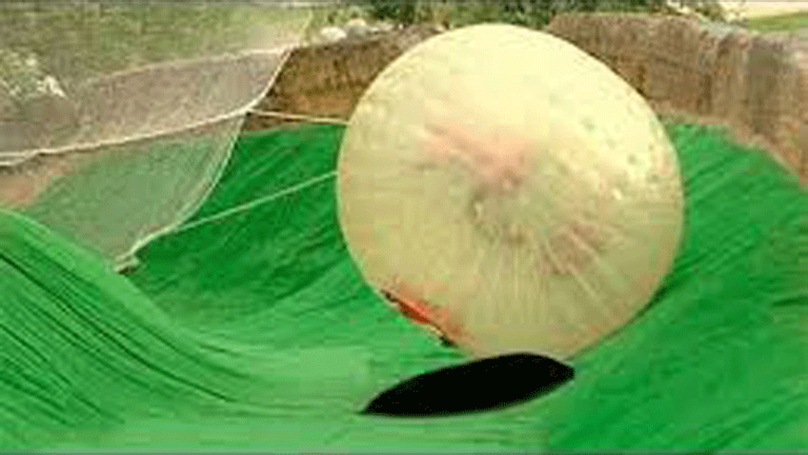 Un parque de atracciones integrado en plena naturaleza