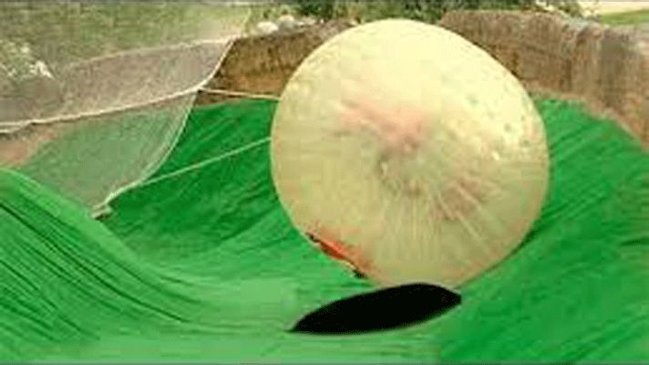 Aquí la Tierra - Un parque de atracciones integrado en plena naturaleza