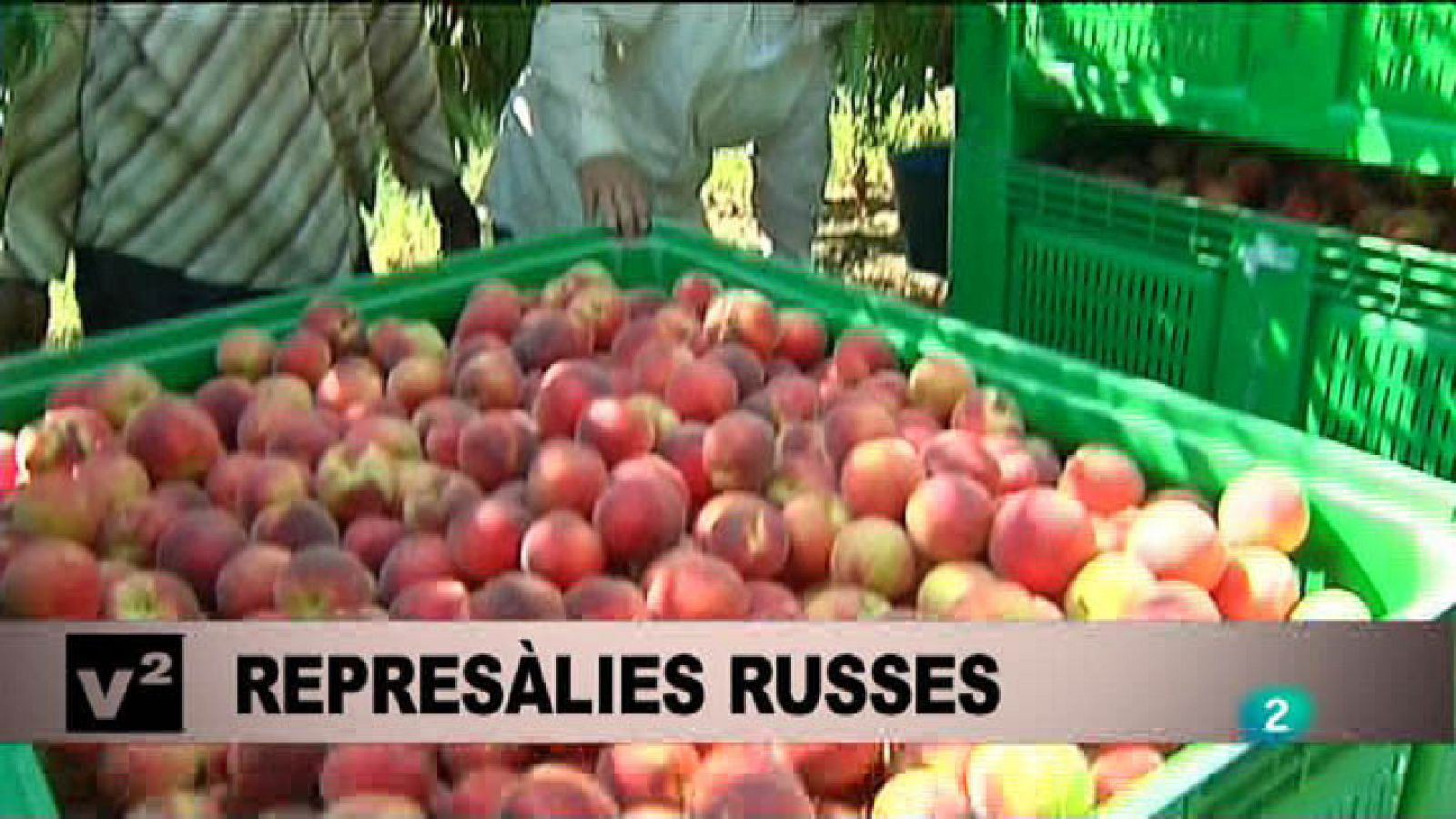 Vespre a La 2 - Informatiu - 7/08/14