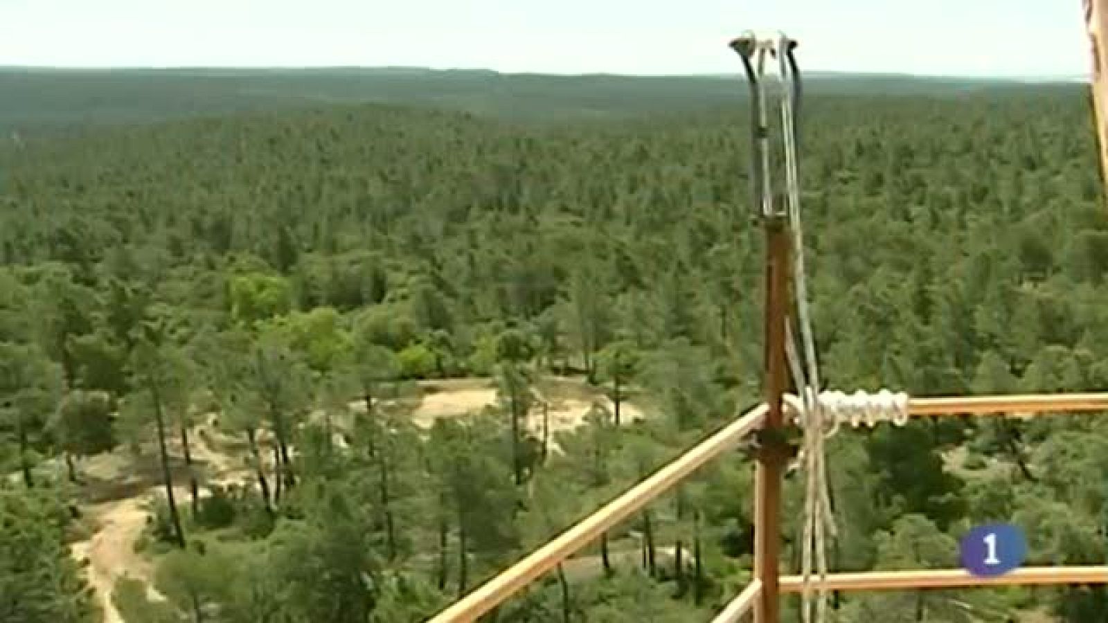 Noticias de Castilla-La Mancha - 08/08/14 | Ver