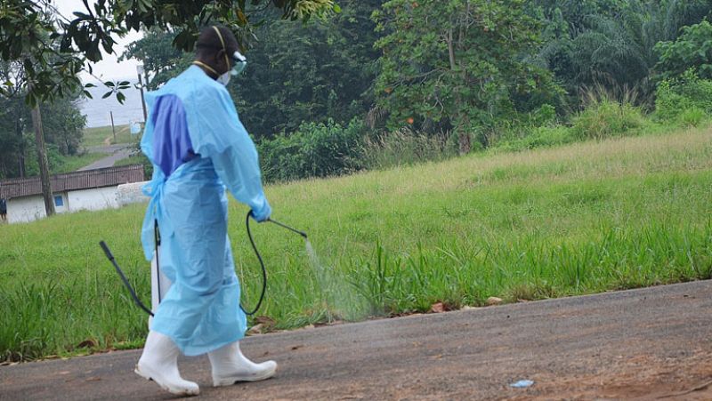 La OMS espera  la vacuna contra el Ébola para 2015