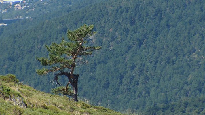 Telediario 1 - Cambio clim��tico
