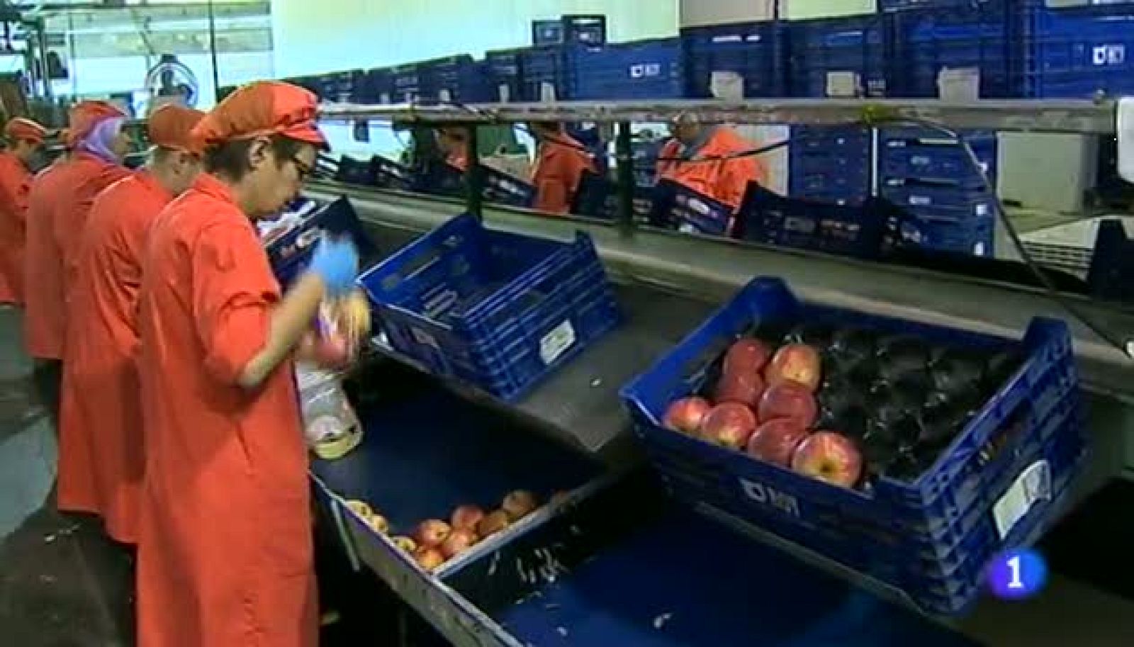 Noticias Aragón-11/08/14 | Ver