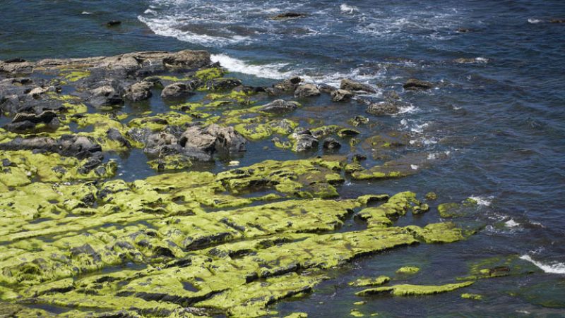 Bajan las temperaturas en el Mediterráneo y suben en el norte
