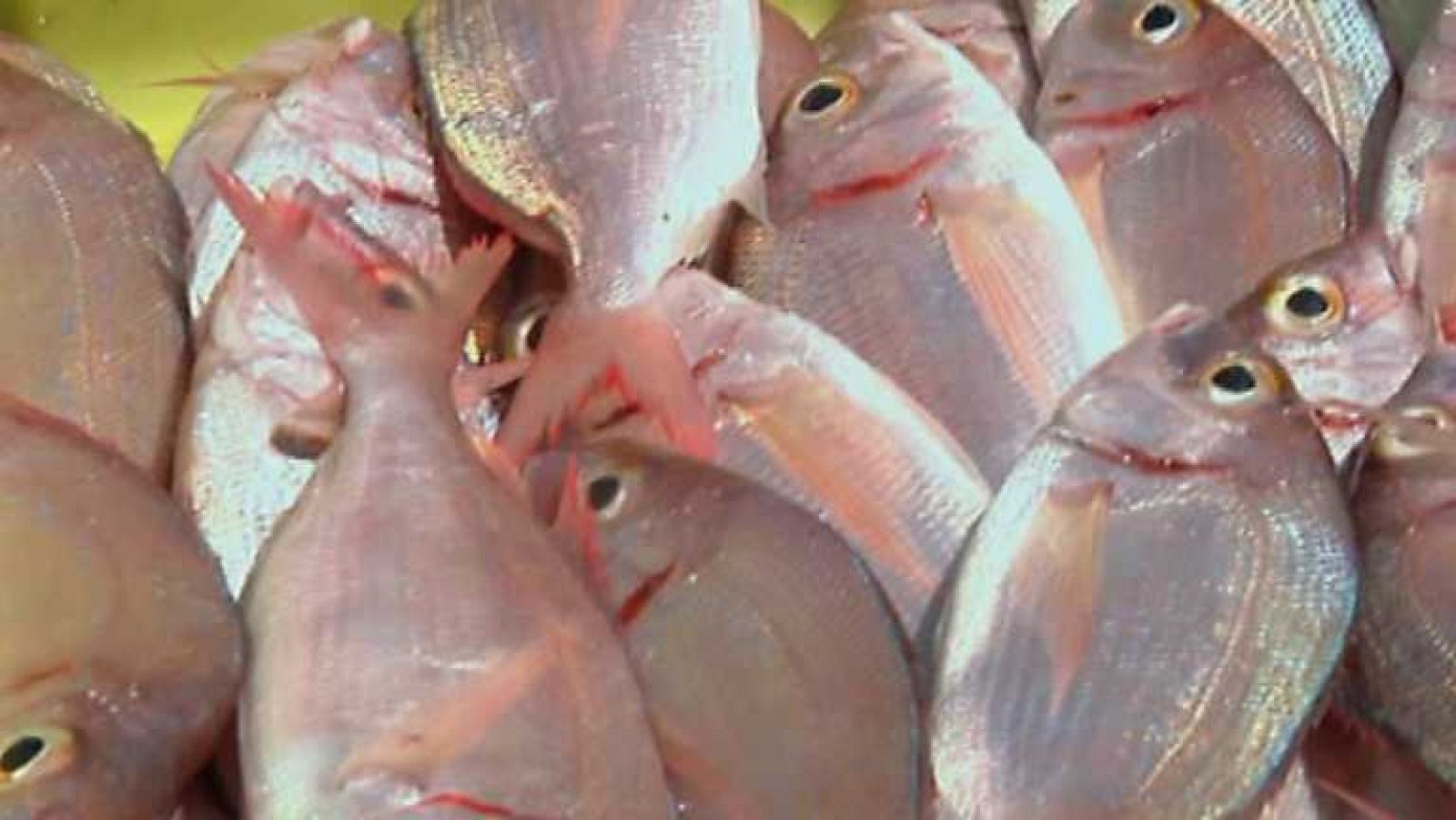 Aquí la Tierra - 11/08/14 - ver ahora