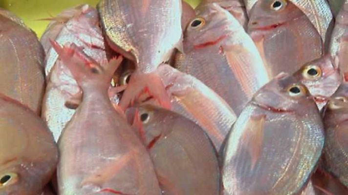 Aquí la Tierra - Aquí la Tierra - 11/08/14