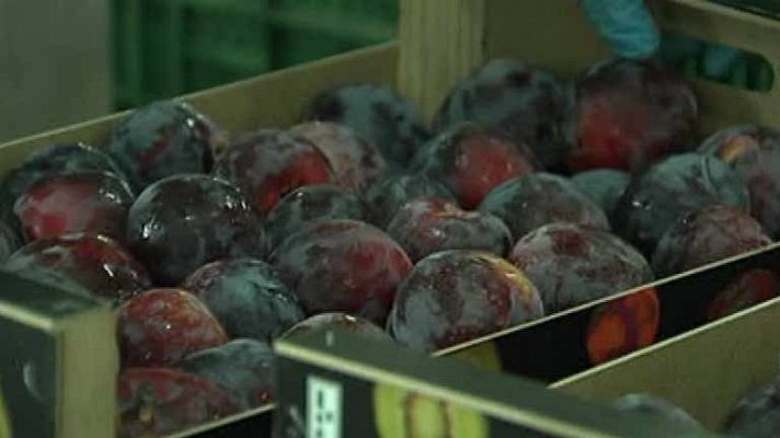 La mañana - El veto ruso a los alimentos españoles