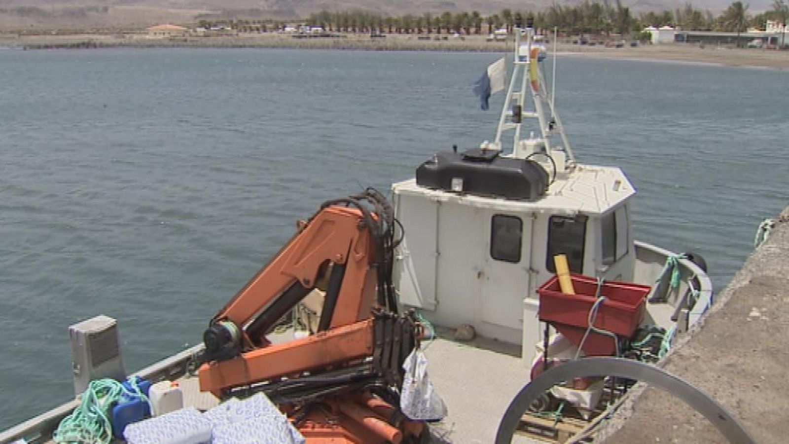 Telecanarias - 12/08/14 | Ver