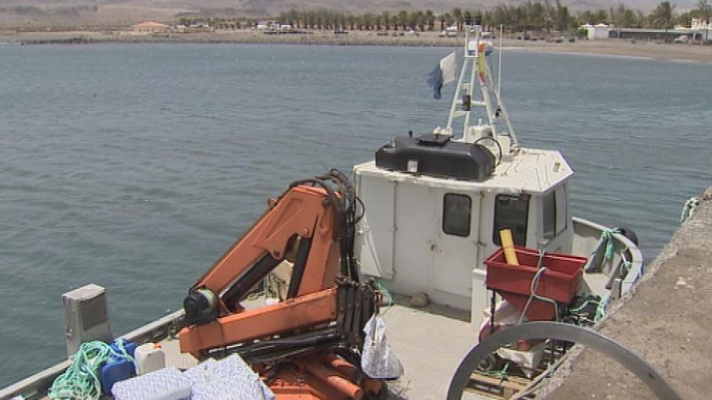 Telecanarias - 12/08/14 | Ver