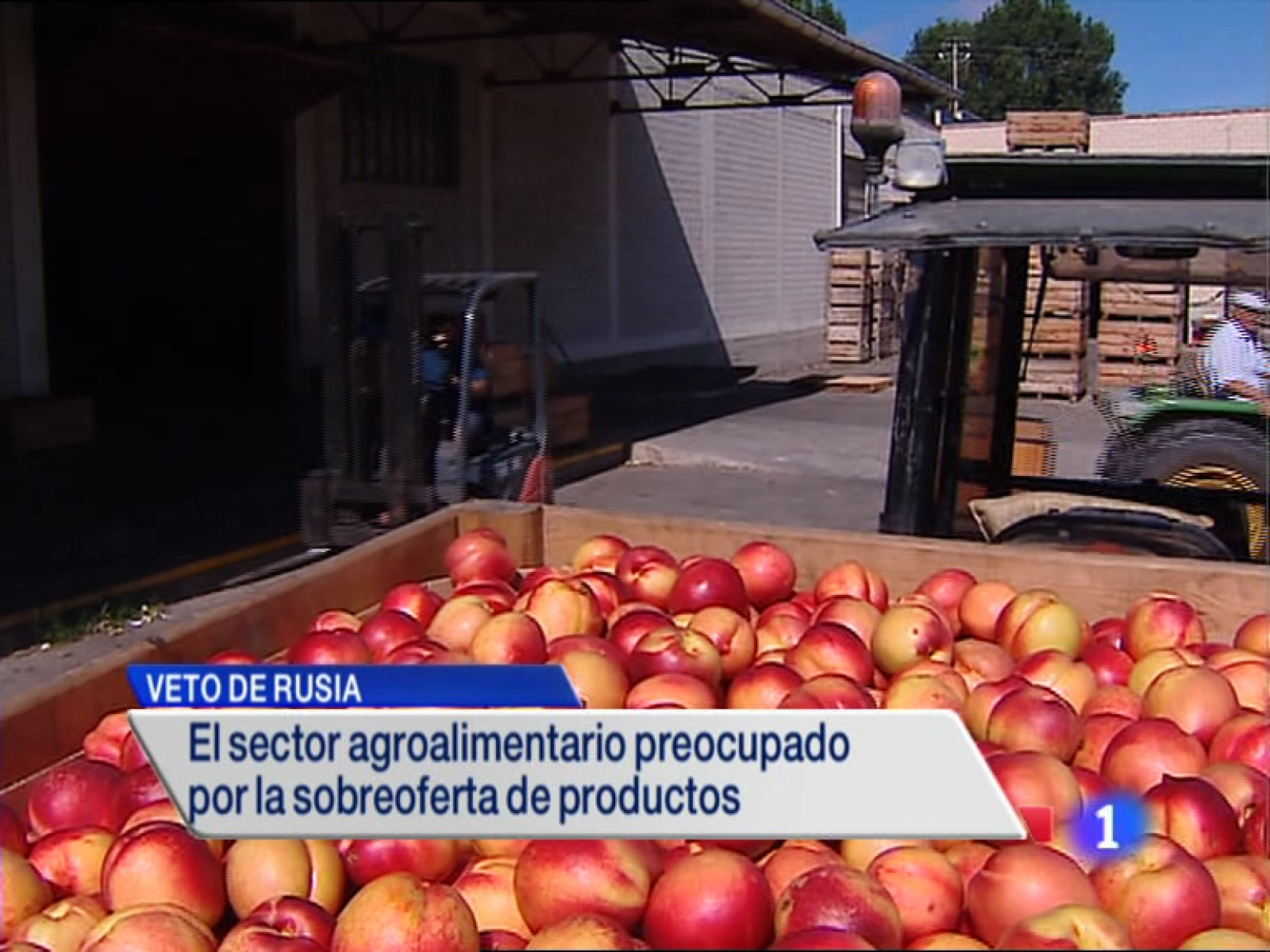 Informativo Telerioja 2 - 12/08/14 | Ver