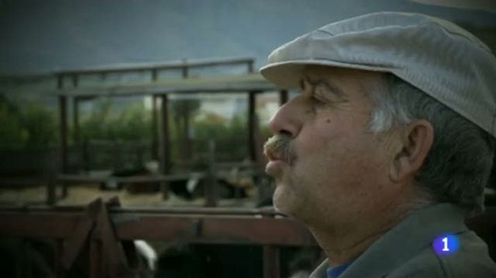 El pueblo más divertido - 'El Guerra' el vaquero rocanrolero de La Matanza