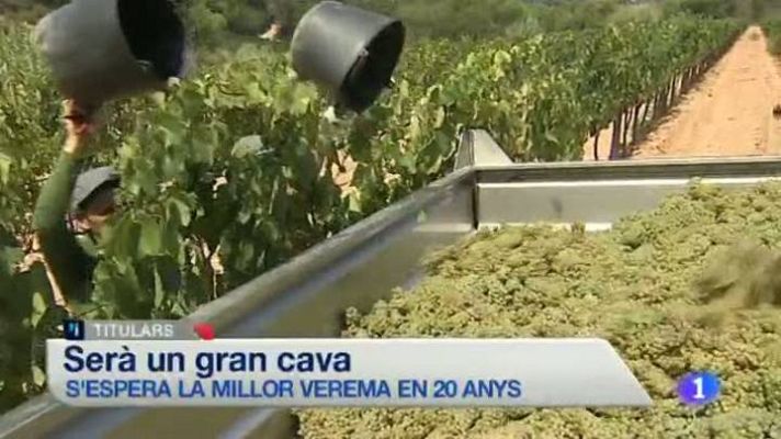 L'Informatiu - L'Informatiu en 3' - 13/08/2014